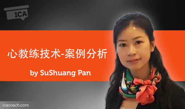 Sushuang Pan Research Paper