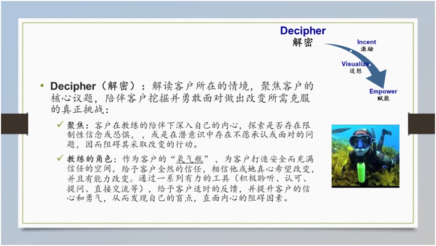 Annie Yang Coaching Model