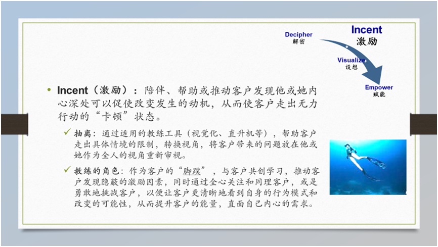 Annie Yang Coaching Model