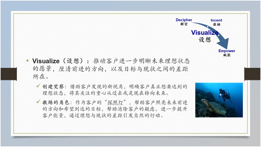 Annie Yang Coaching Model