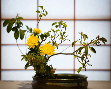 Lei_Zhong_Coaching_Model