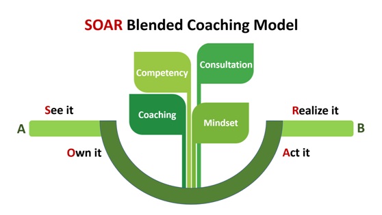 Chih-Ting (Lydia) Ko Coaching Model