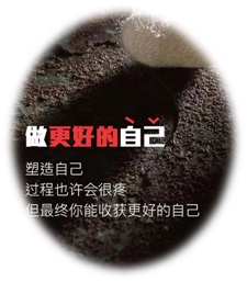 Jessica Yuanqi Li Research Paper