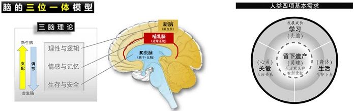 Jessie Gao Chenxian Research Paper