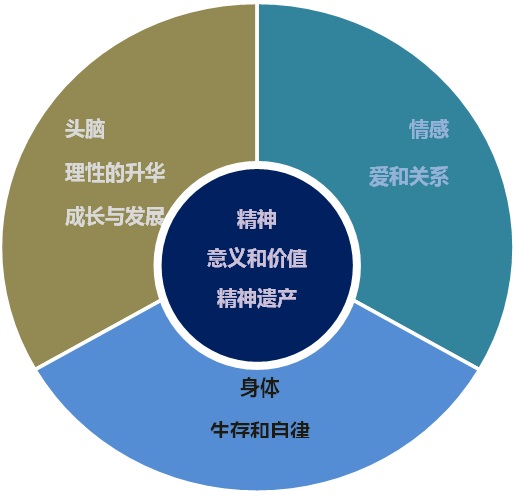Eliza Wang_Coaching_Research_Paper