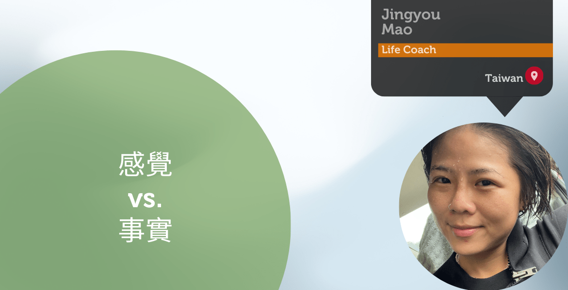Power Tool Feature Jingyou Mao