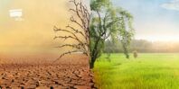 Change is the only constant - dry and green