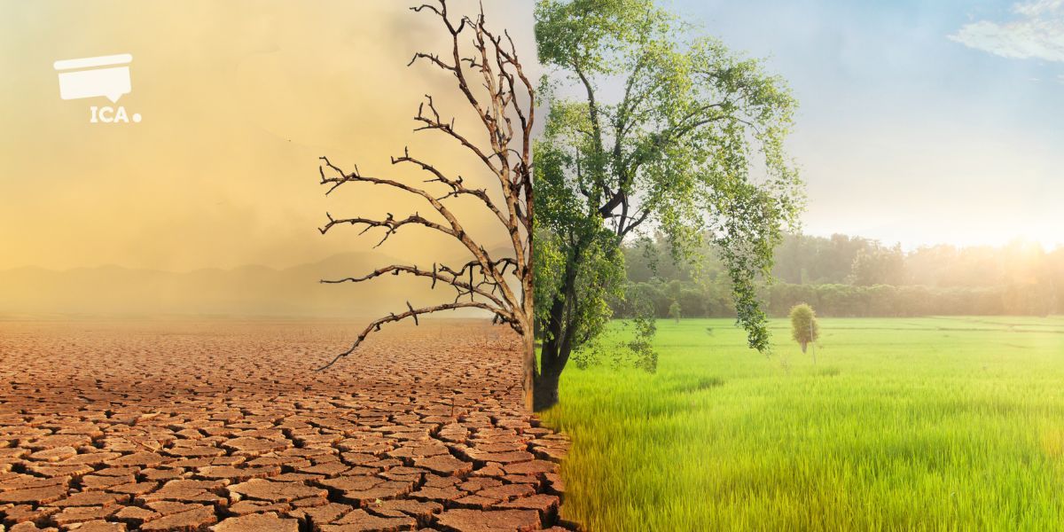 Change is the only constant - dry and green