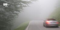 FOG