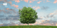 Plant your own tree of life