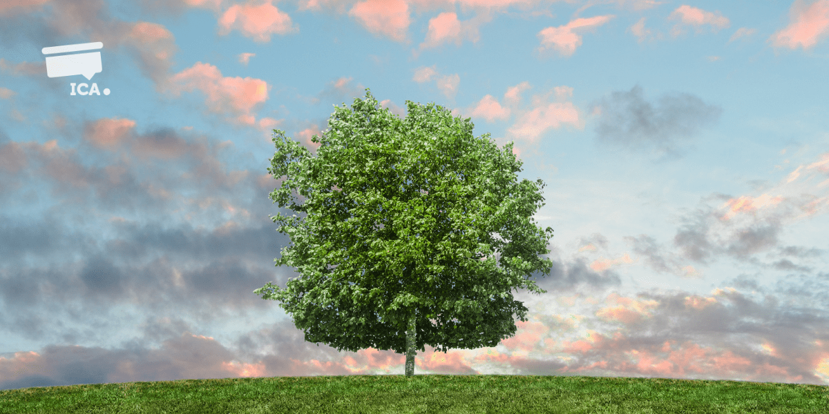 Plant your own tree of life