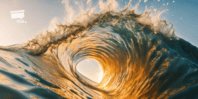 WAVE