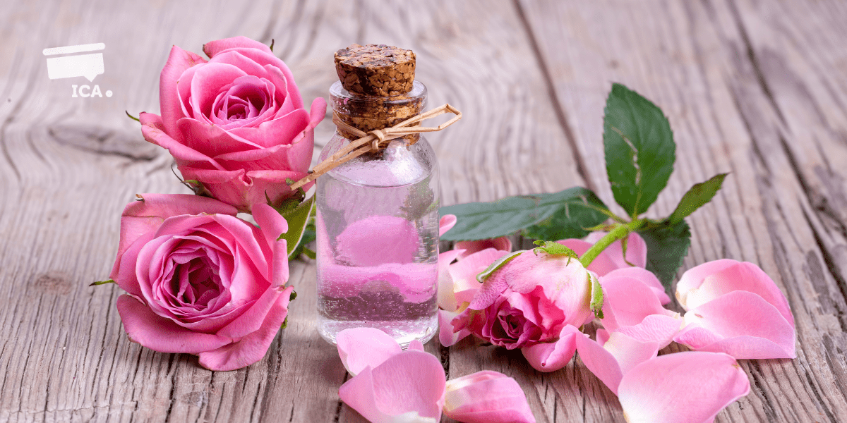 Rose Essential Oil Meets Coaching