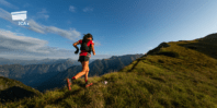 The TRAIL