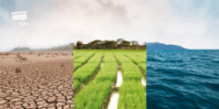 Change vs. Adaptation